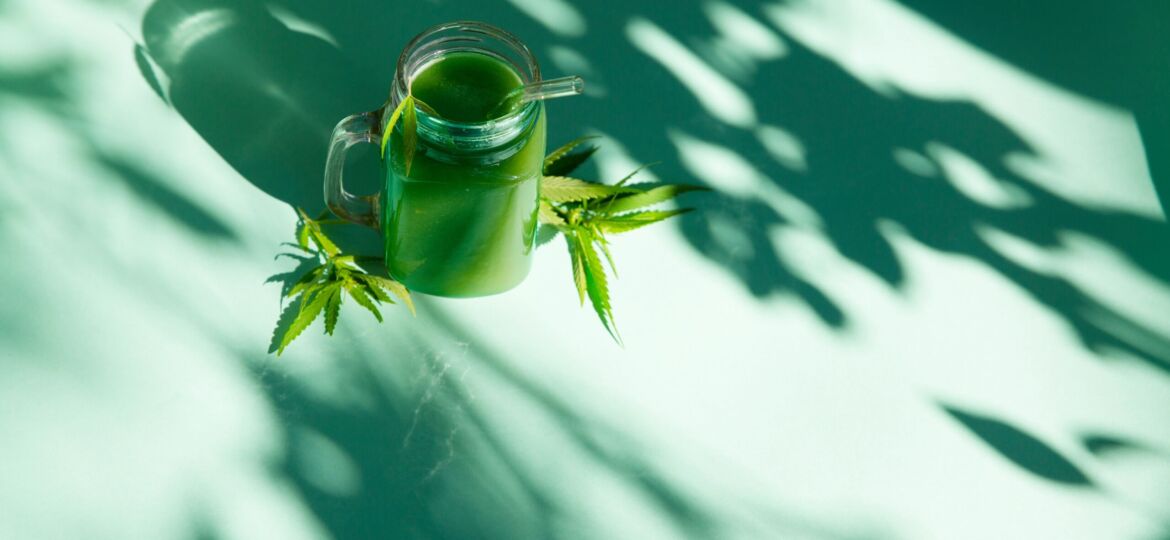 Healthy cannabis smoothie juice and hemp leaves on a mint backgr